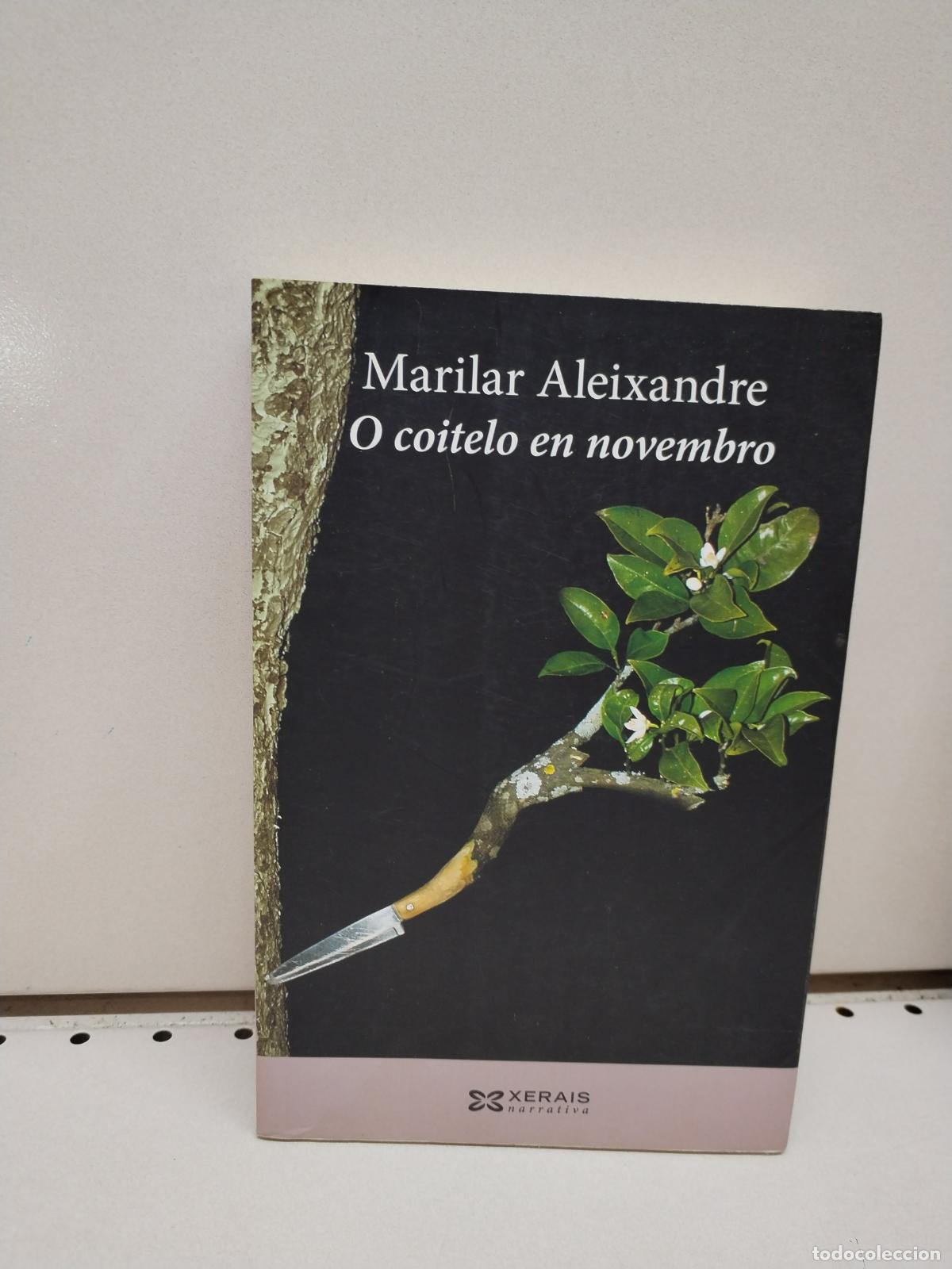Libros: O coitelo en novembro - Aleixandre, Marilar - Foto 1