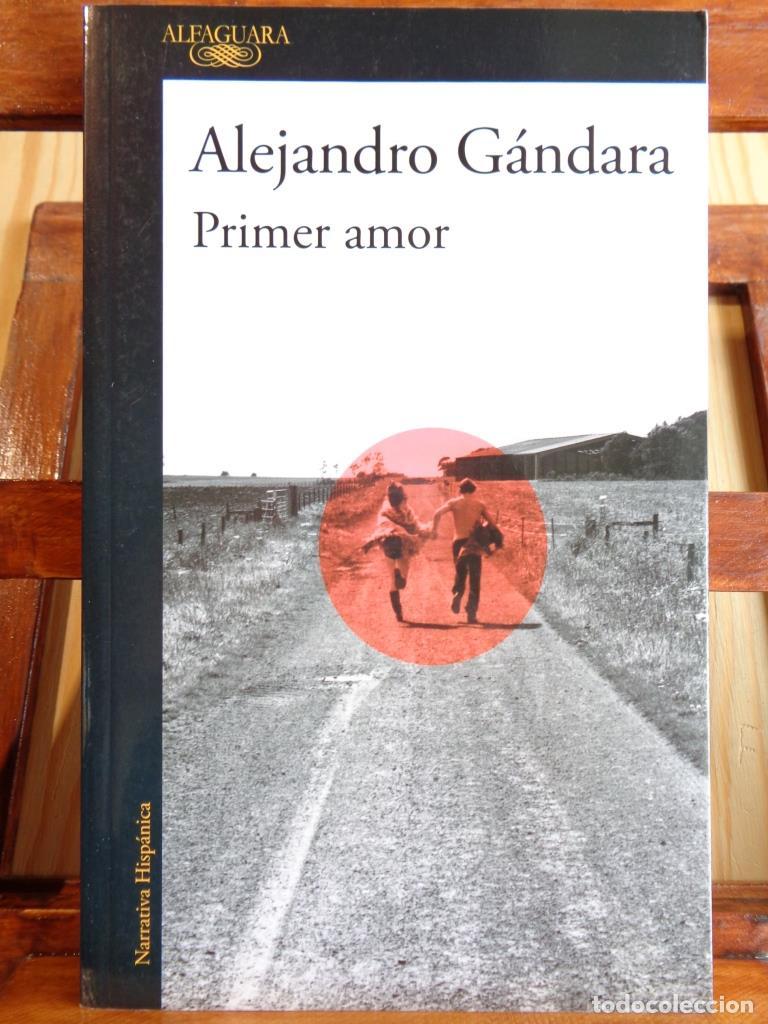 Libros: PRIMER AMOR - ALEJANDRO G&Aacute;NDARA - Foto 1