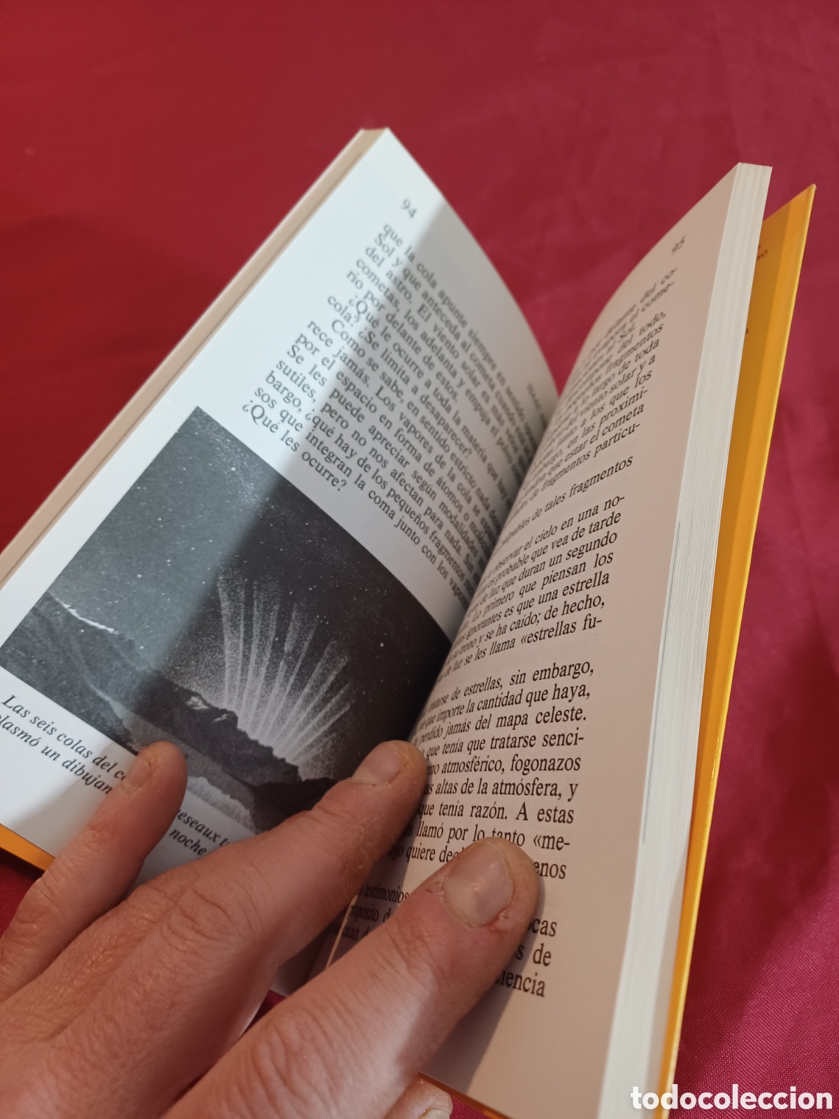 Libros: LIBRO, EL COMETA HALLEY, ISAAC ASIMOV, PRIMERA EDICI&Oacute;N 1985 - Foto 6