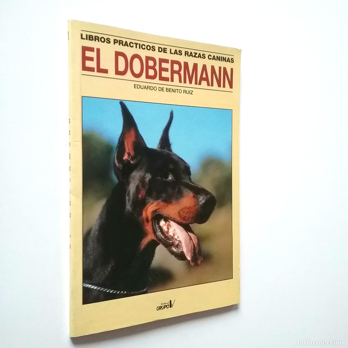 Libros: Eduado de Benito Ruiz - El Dobermann. Libros pr&aacute;cticos de las razas caninas - Foto 1