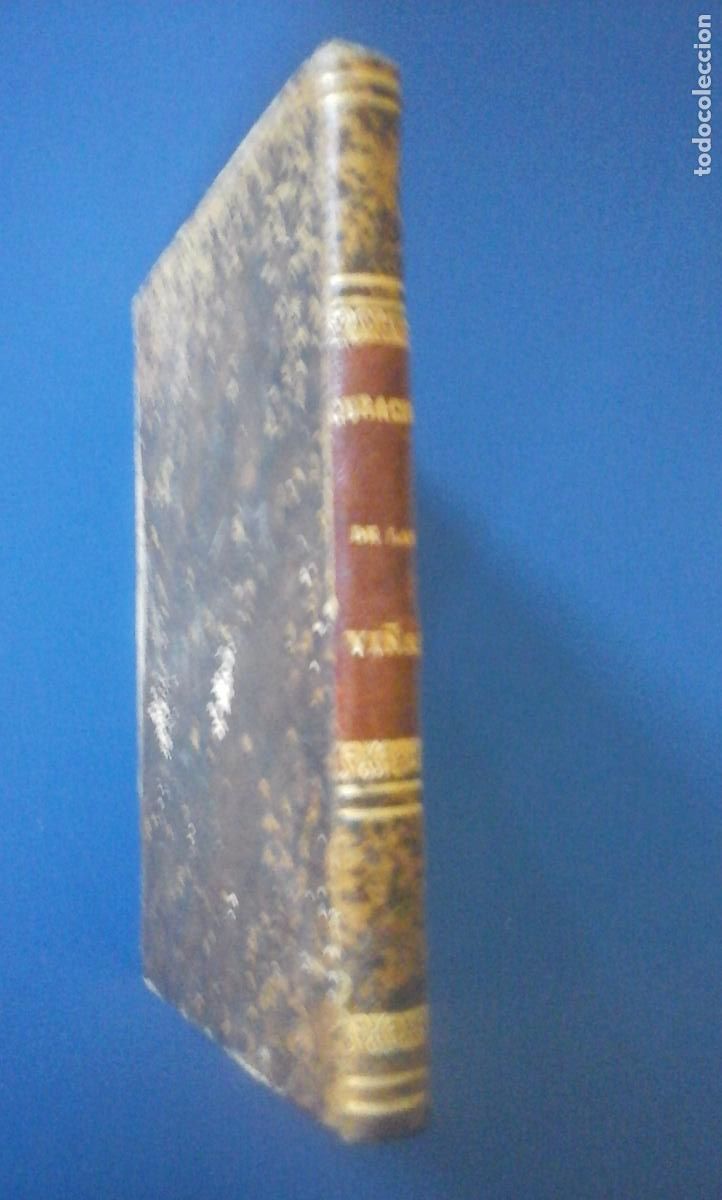 Libros: CURACI&Oacute;N DE LAS VI&Ntilde;AS. (Madrid, 1862) seguido del OIDIUM TUKERI y del Azufrado de las vides (Madrid,