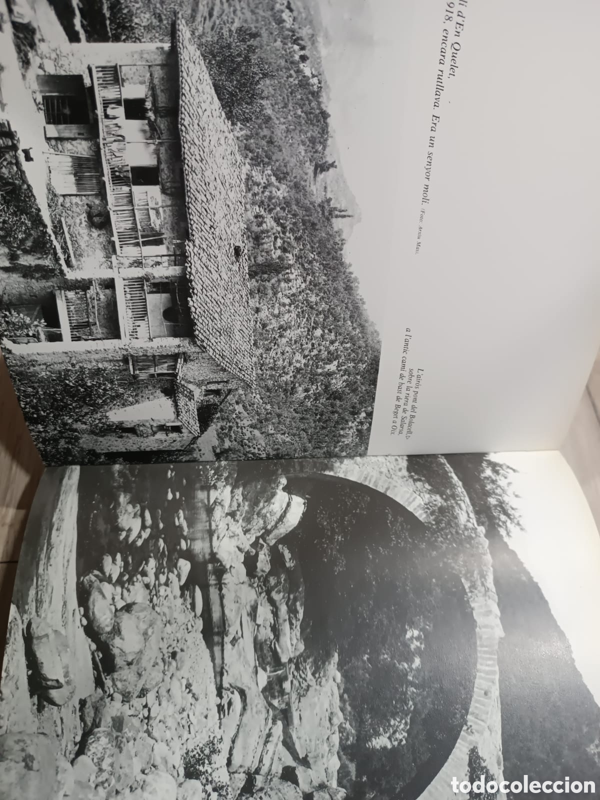 Libros: Caminant per lalta Garrotxa - Foto 3