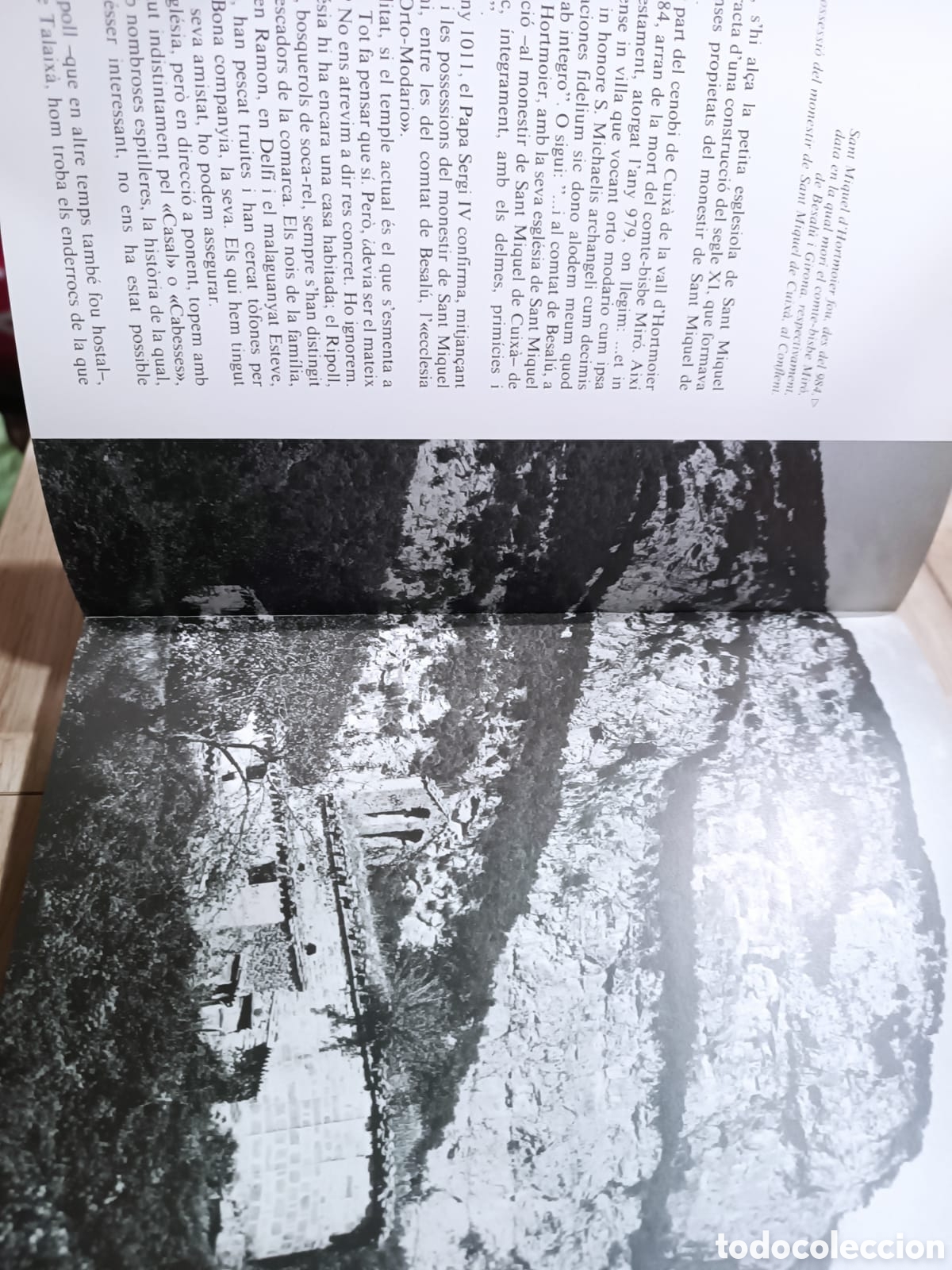 Libros: Caminant per lalta Garrotxa - Foto 4