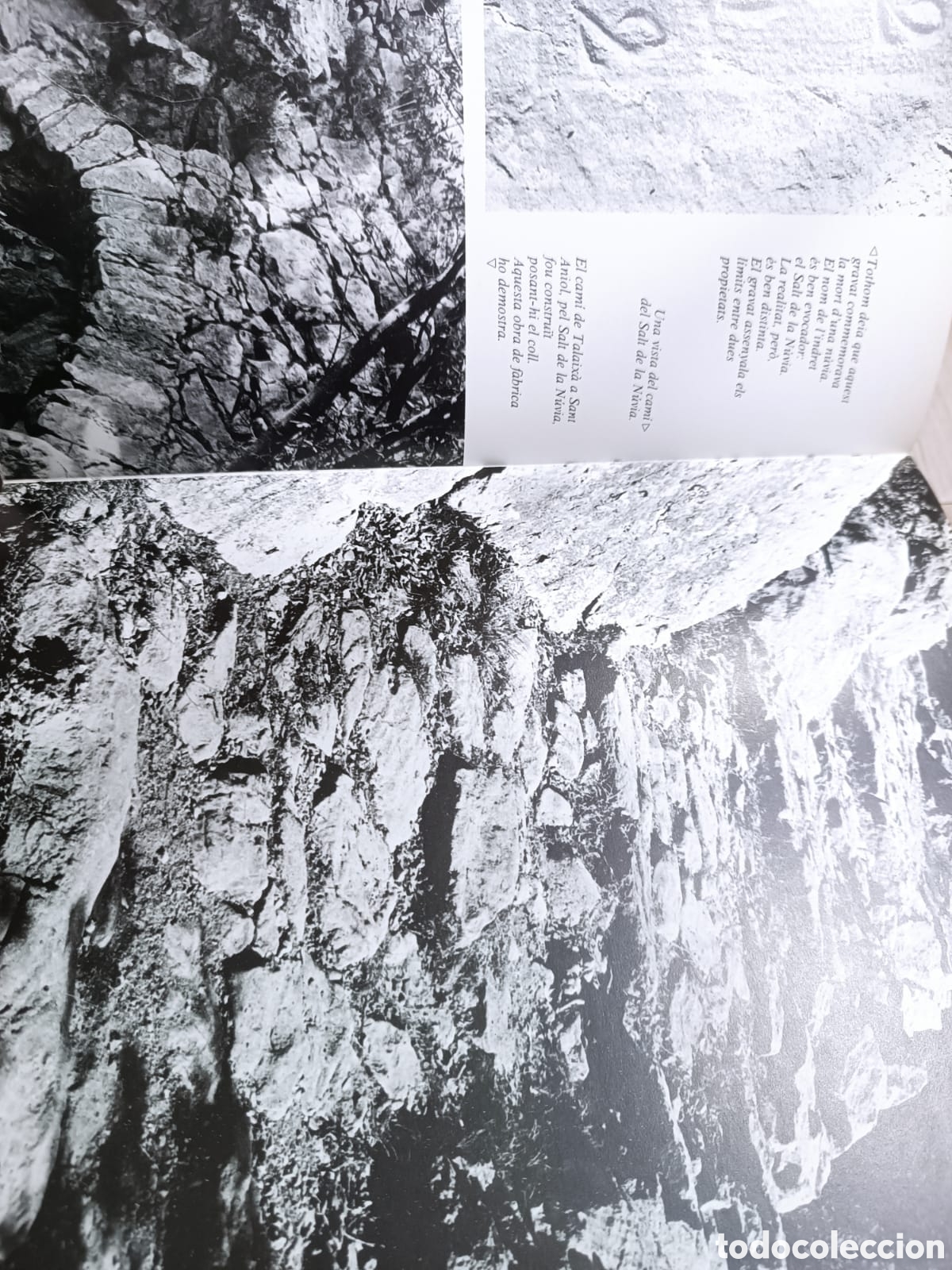 Libros: Caminant per lalta Garrotxa - Foto 6