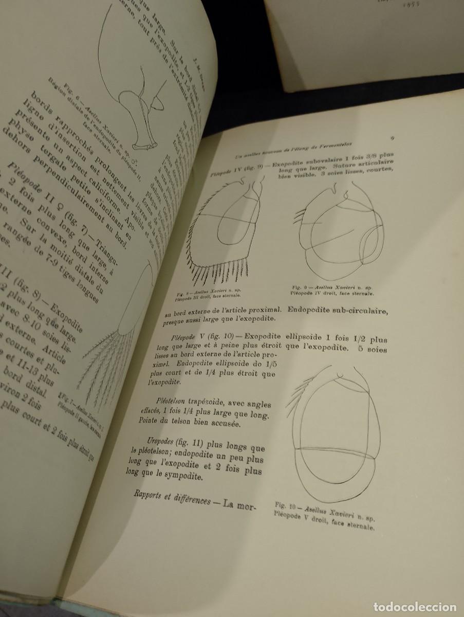 Libros: Fermentelos / Cabedelo 2 Publica&ccedil;&otilde;es 1956/73 - Foto 3