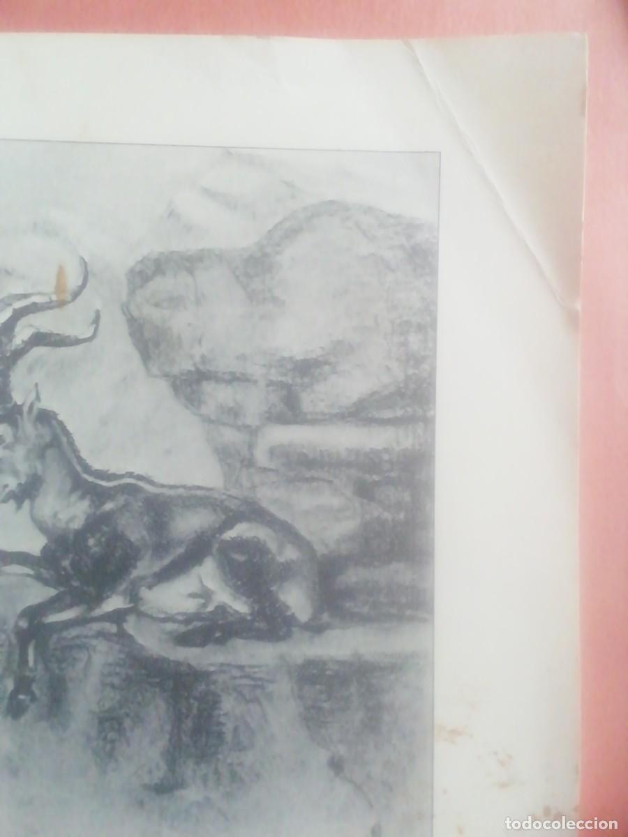 Libros: CAT&Aacute;LOGO DE TROFEOS DE CAZA. 1978-1980 - Foto 1
