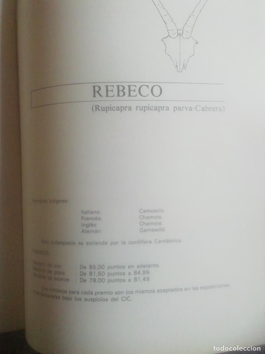 Libros: CAT&Aacute;LOGO DE TROFEOS DE CAZA. 1978-1980 - Foto 7