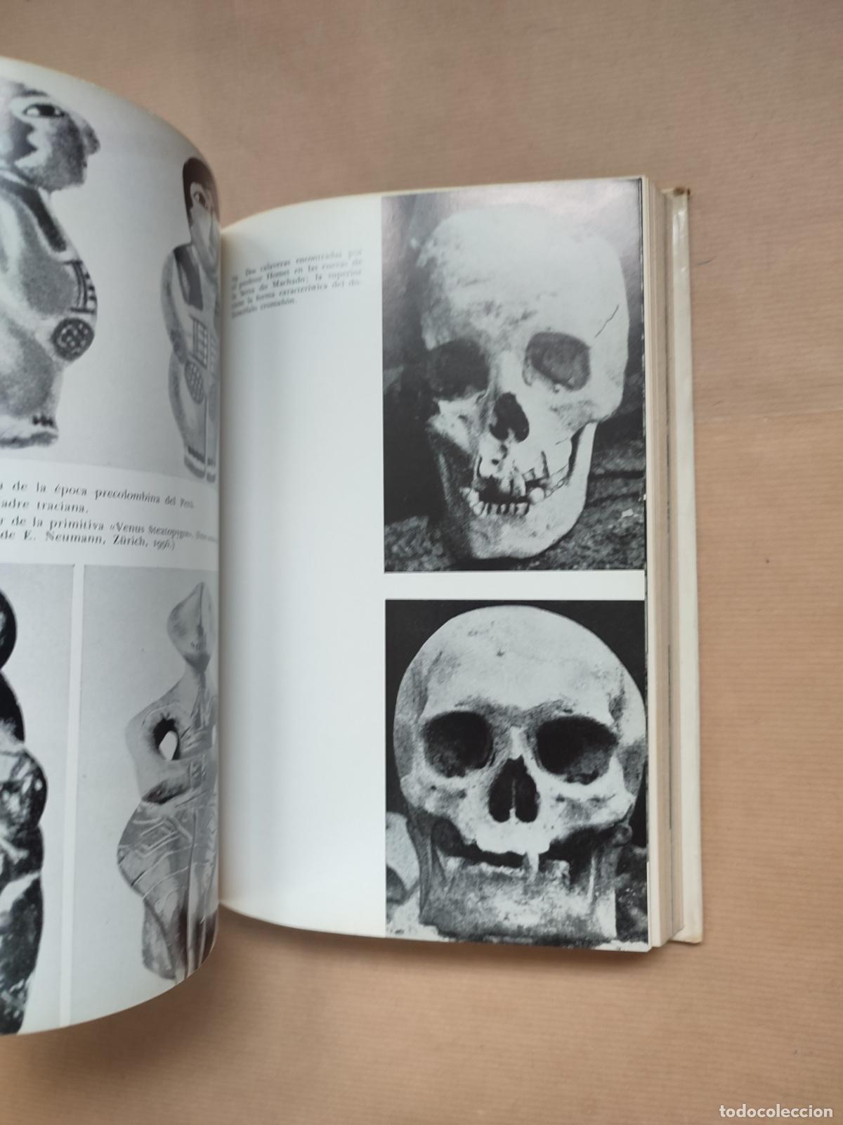 Libros: Los hijos del sol - &rdquo;Homet,Marcel F.&rdquo; - Foto 5