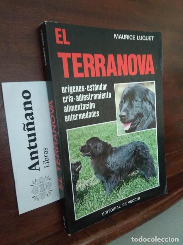 Libros: Perros de raza. El terranova - Foto 1