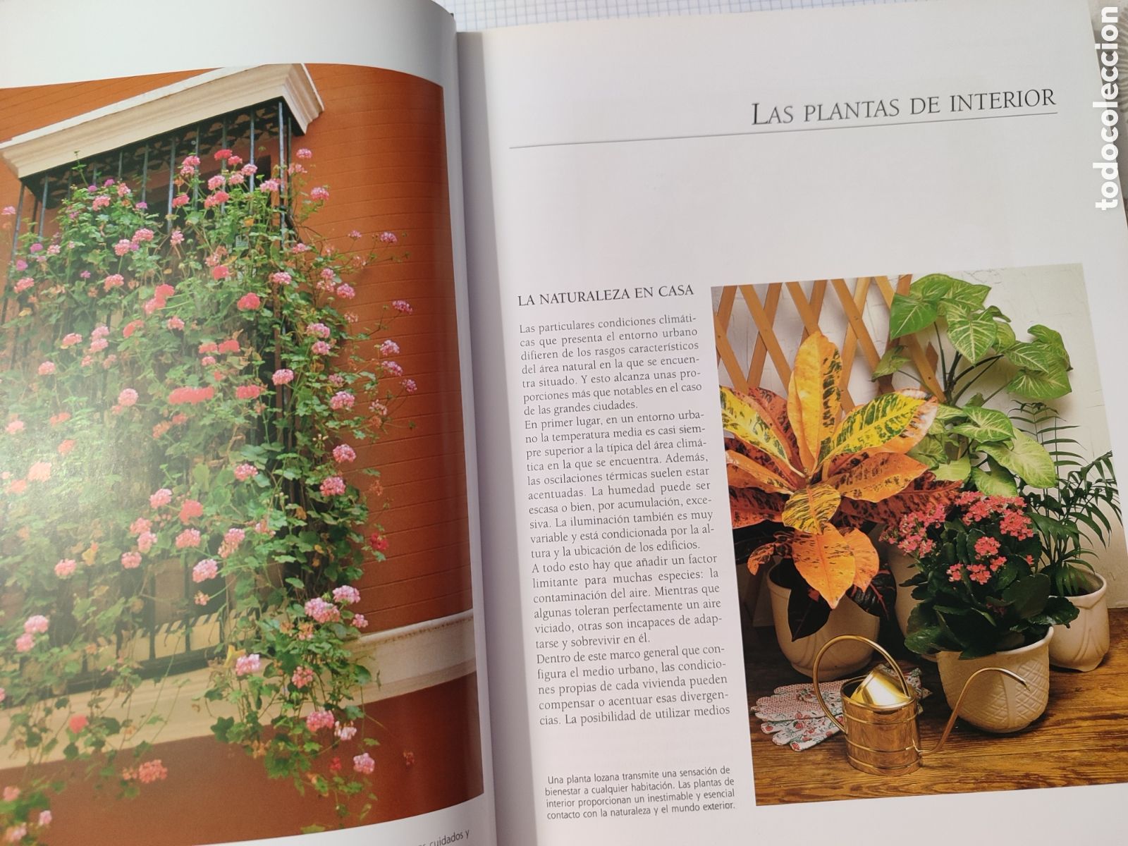 Libros: El GRAN LIBRO DE LA JARDINER&Iacute;A. - Foto 4