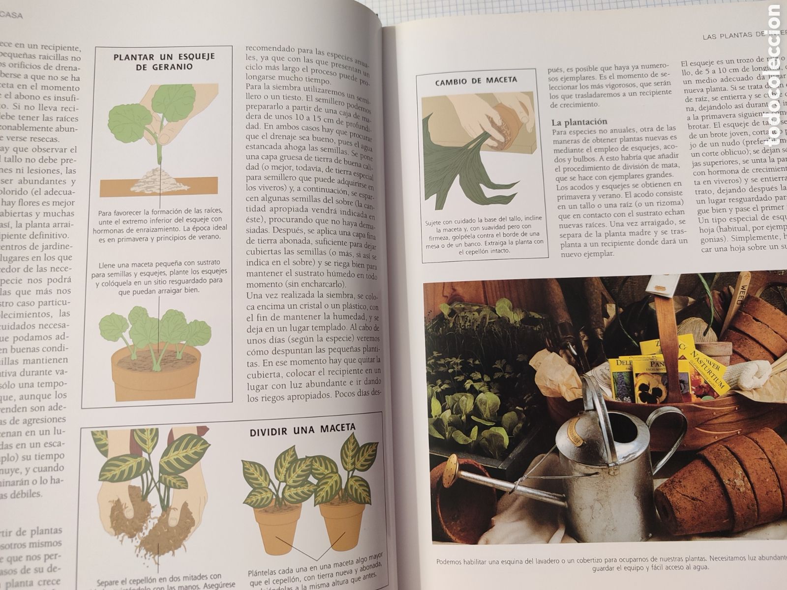 Libros: El GRAN LIBRO DE LA JARDINER&Iacute;A. - Foto 5