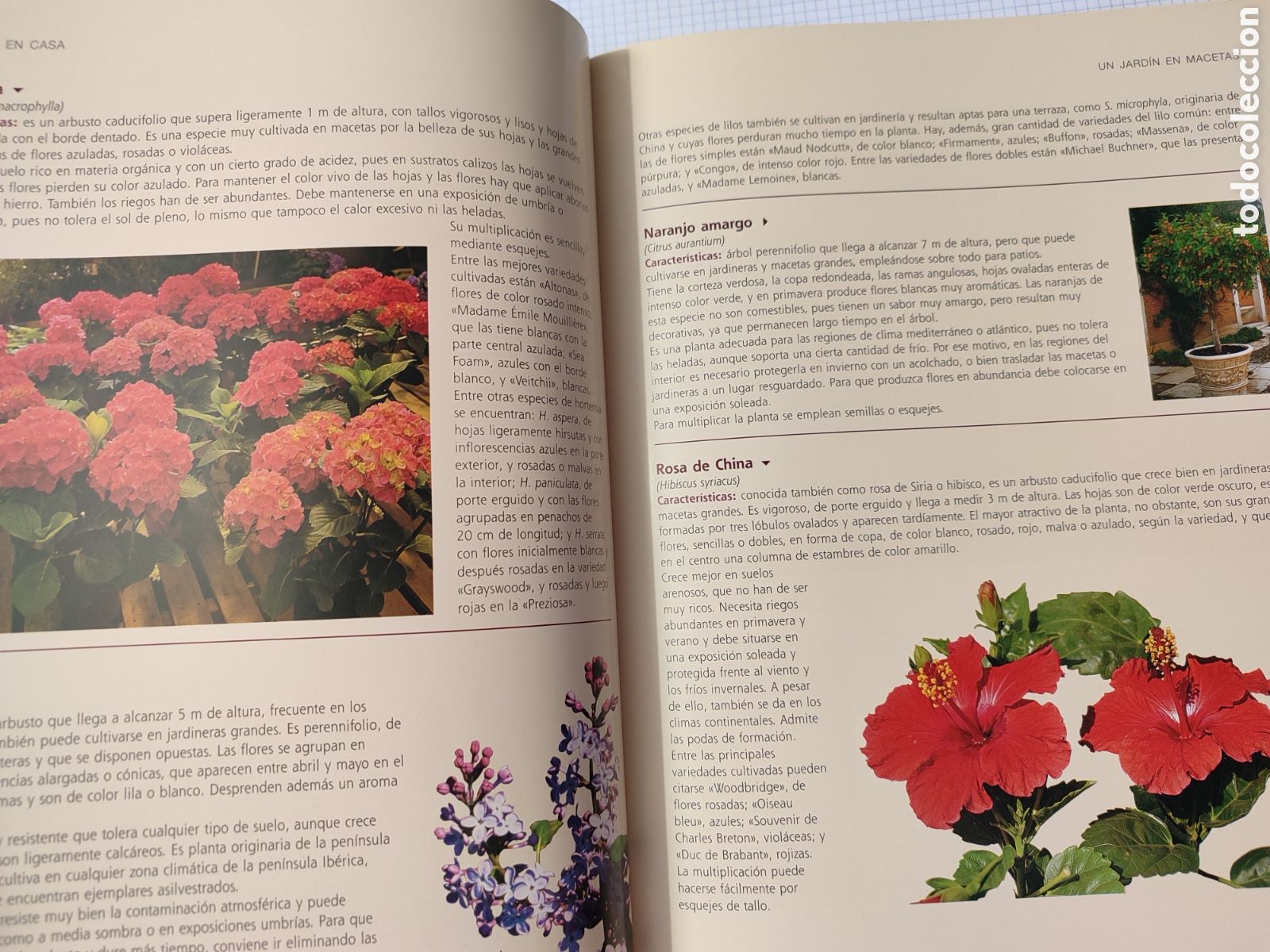 Libros: El GRAN LIBRO DE LA JARDINER&Iacute;A. - Foto 6