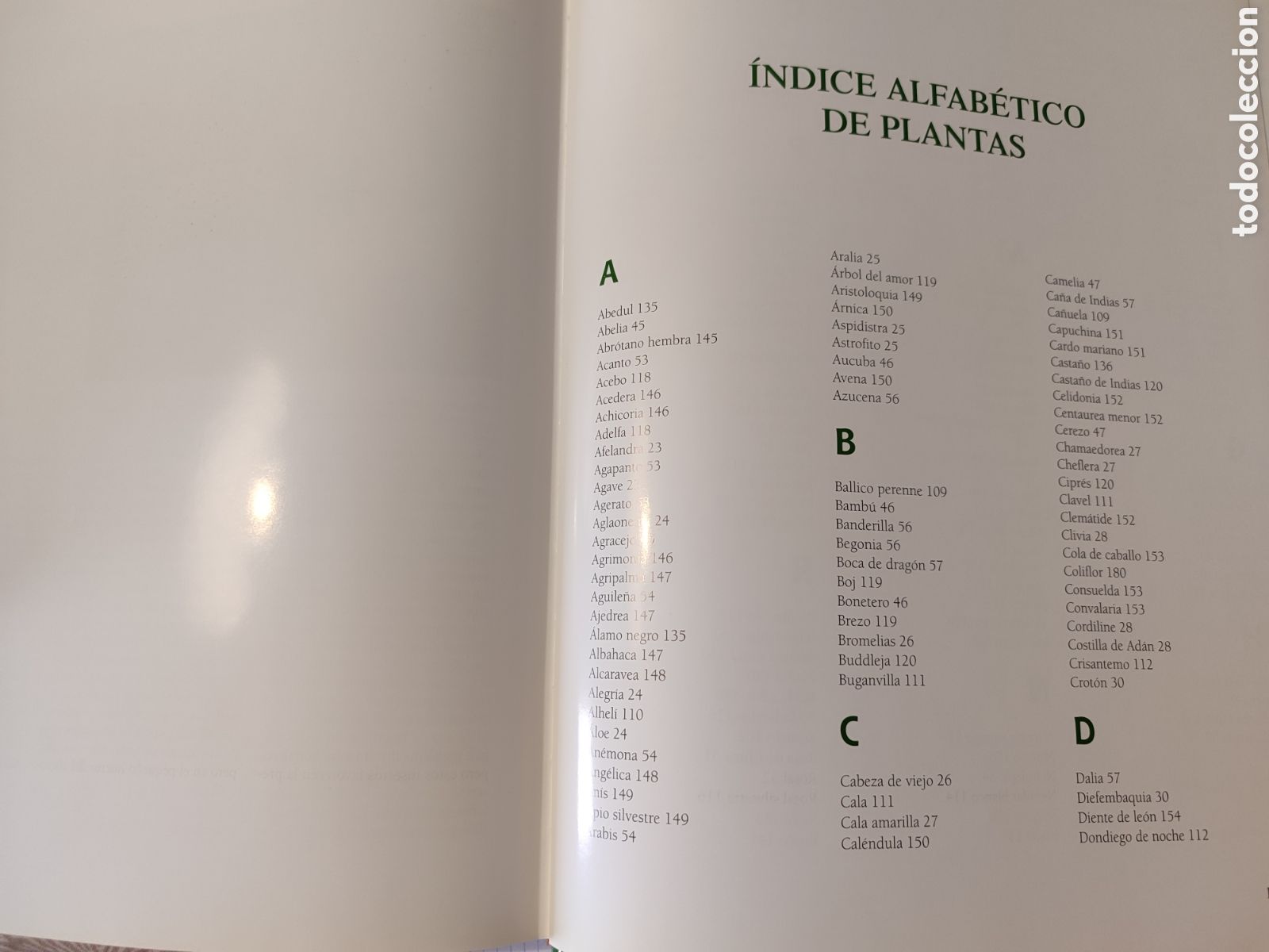 Libros: El GRAN LIBRO DE LA JARDINER&Iacute;A. - Foto 8