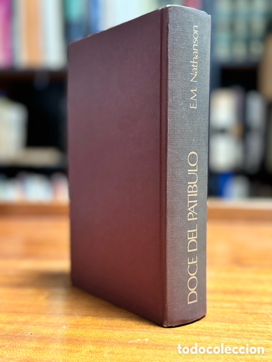 Libros: DOCE DEL PAT&Iacute;BULO E.M .Nathanson - Foto 2