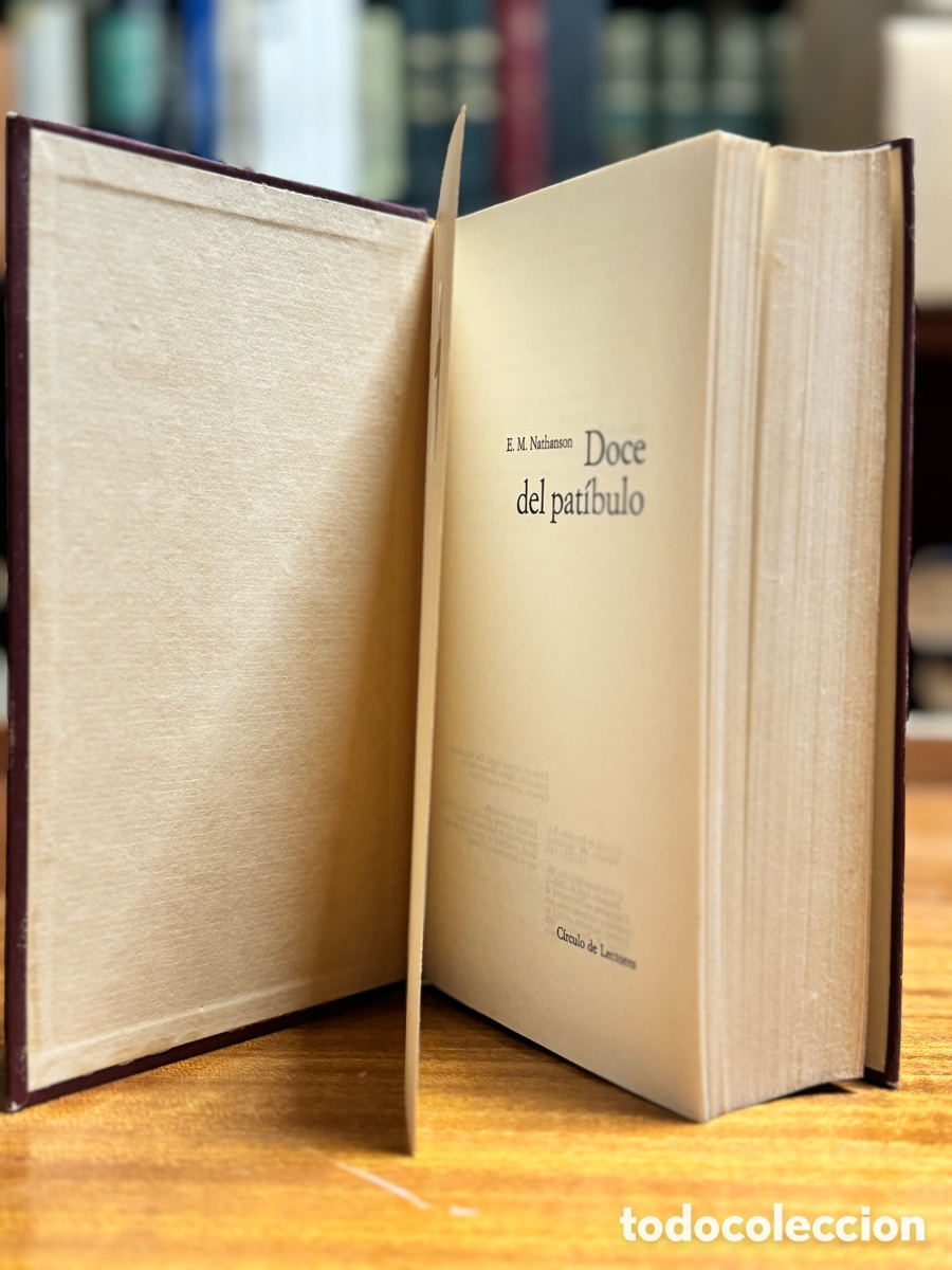 Libros: DOCE DEL PAT&Iacute;BULO E.M .Nathanson - Foto 4