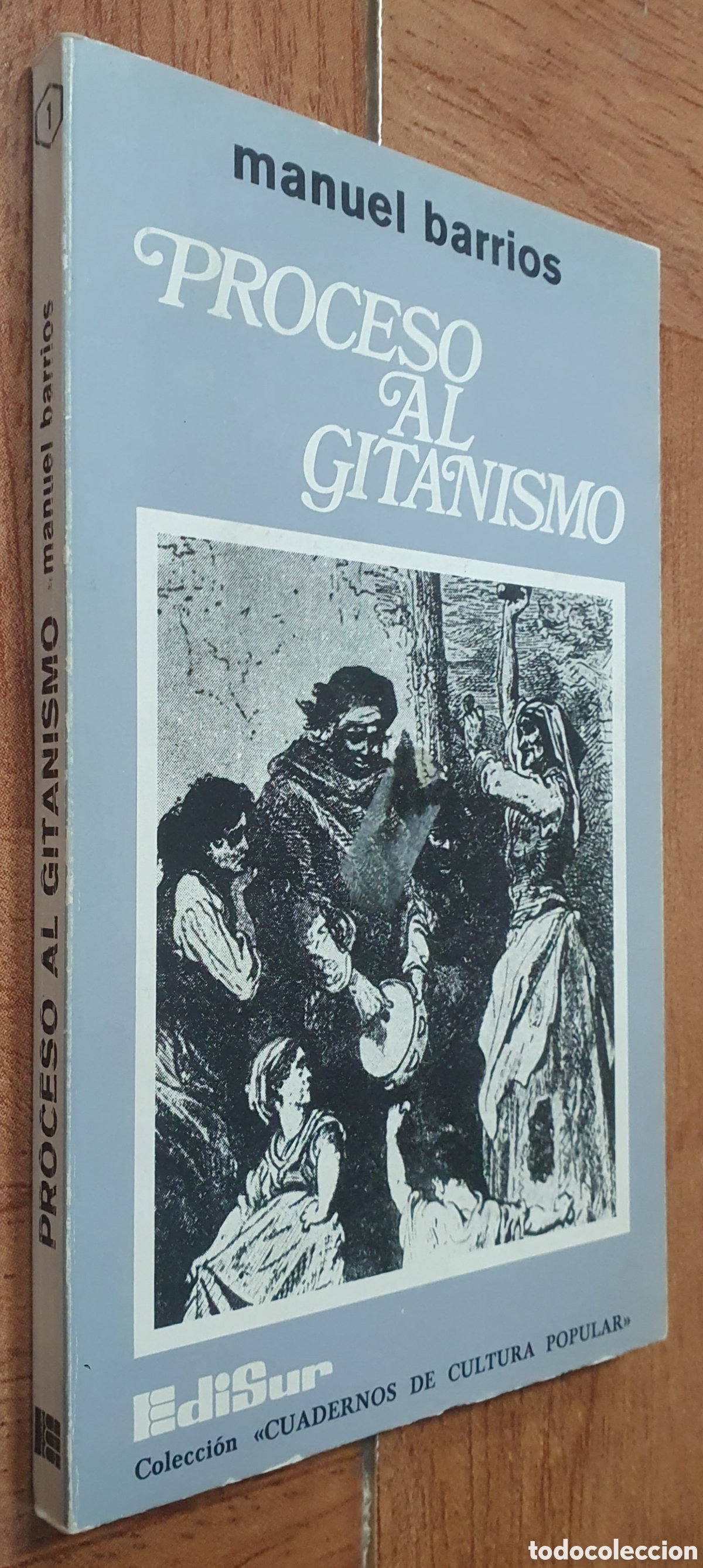 Libros: Proceso al Gitanismo - Manuel Barrios - Foto 1