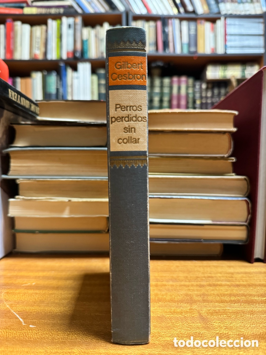 Libros: Perros perdidos sin collar Gilbert Cesbron - Foto 3