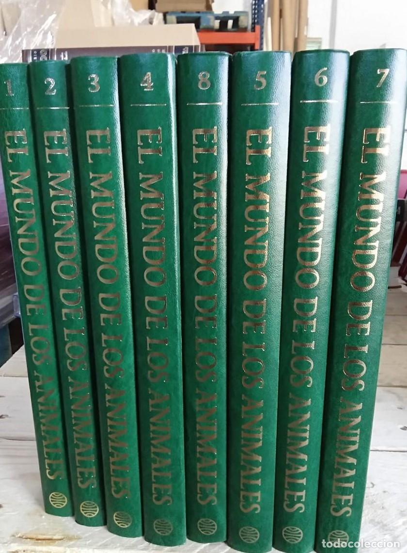 Libros: El mundo de los animales - Planeta (B) - - Foto 1