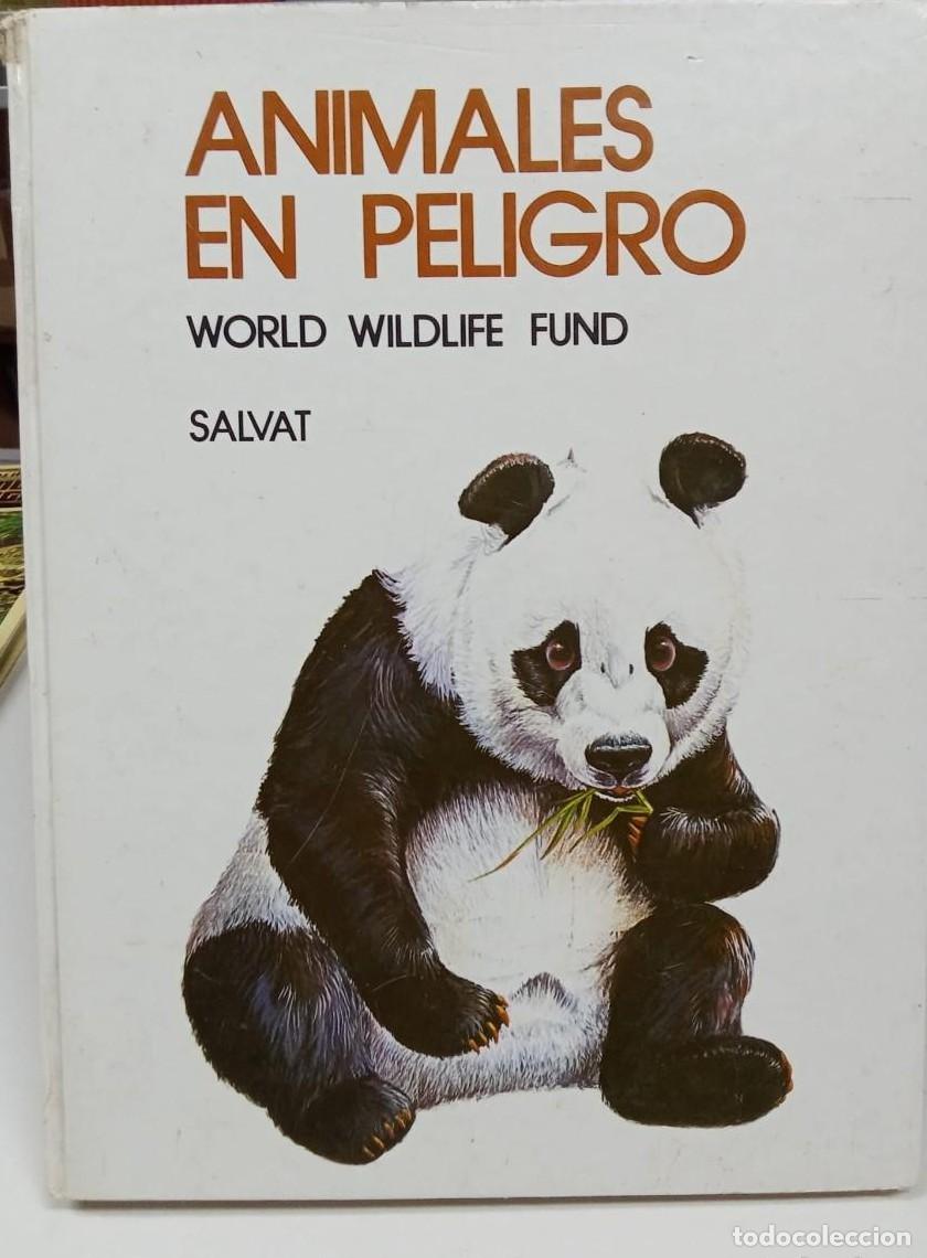 Libros: ANIMALES EN PELIGRO -WORLD WILDLIFE FUND (T) - - Foto 1