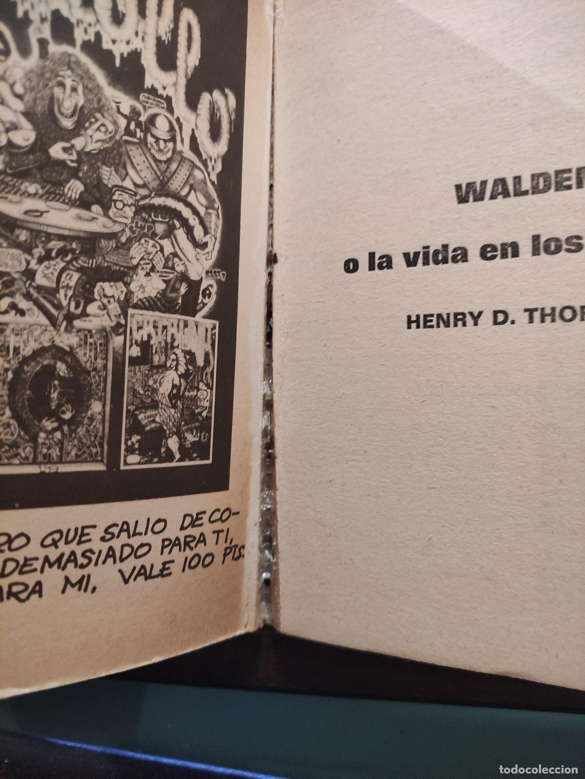 Libros: WALDEN O LA VIDA EN LOS BOSQUES - HENRY D. THOREAU - Foto 4