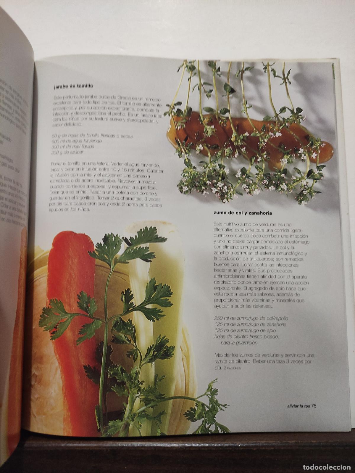 Libros: BEBIDAS SALUDABLES Y CURATIVAS - ANNE MCINTYRE - Foto 2