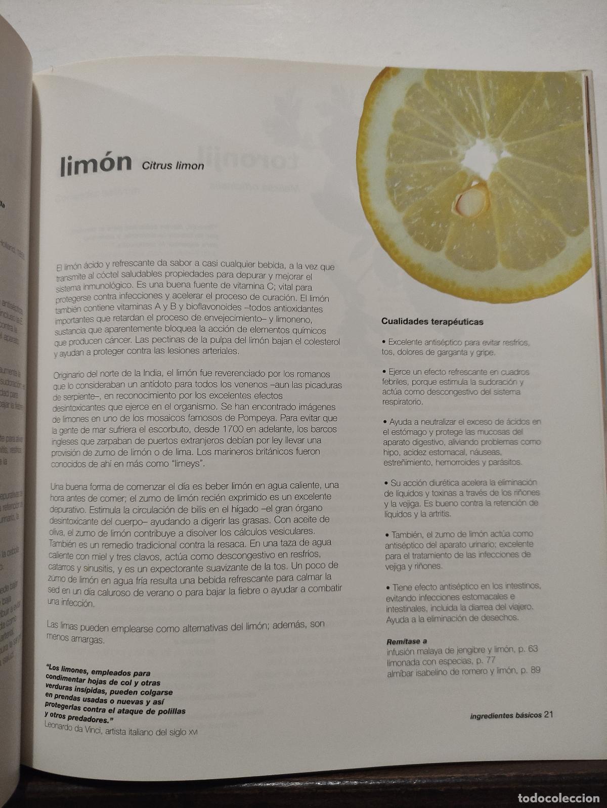 Libros: BEBIDAS SALUDABLES Y CURATIVAS - ANNE MCINTYRE - Foto 3