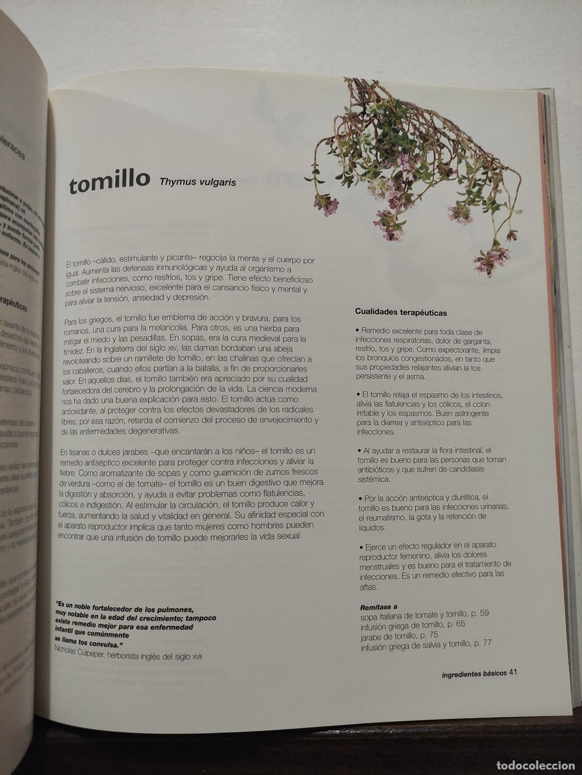 Libros: BEBIDAS SALUDABLES Y CURATIVAS - ANNE MCINTYRE - Foto 4