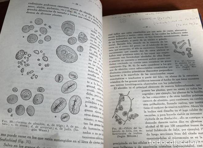 Libros: Compendio de Biolog&iacute;a General. Dr. E. Fern&aacute;ndez Galiano. - - Foto 2