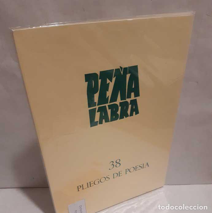 Libros: PE&Ntilde;A LABRA. PLIEGOS DE POES&Iacute;A 38 (OCTAVIO PAZ) - Foto 1