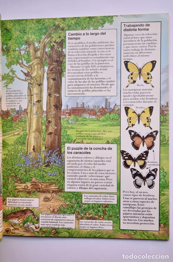 Libros: El libro de la Evoluci&oacute;n - CORK, Barbara y BRESLER, Lynn - Foto 3