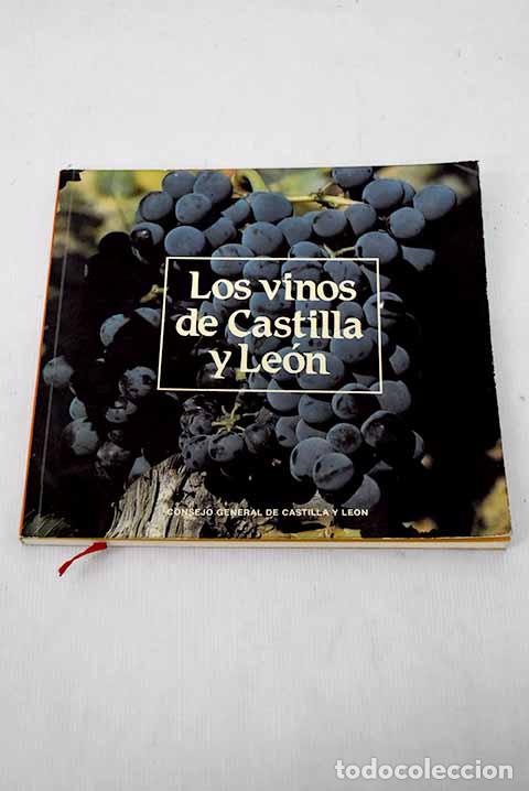 Libros: Los vinos de Castilla y Le&oacute;n - Foto 1