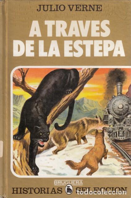 Libros: A TRAV&Eacute;S DE LA ESTEPA - VERNE, JULIO - Foto 1