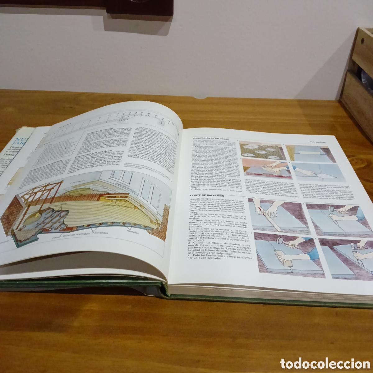 Libros: Nuestro jard&iacute;n. David Stevens ed. - Foto 3