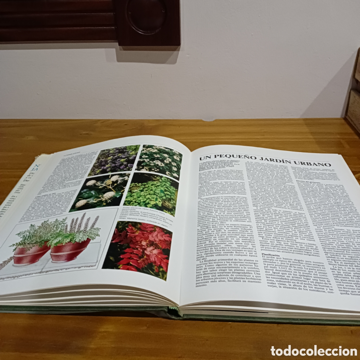 Libros: Nuestro jard&iacute;n. David Stevens ed. - Foto 4