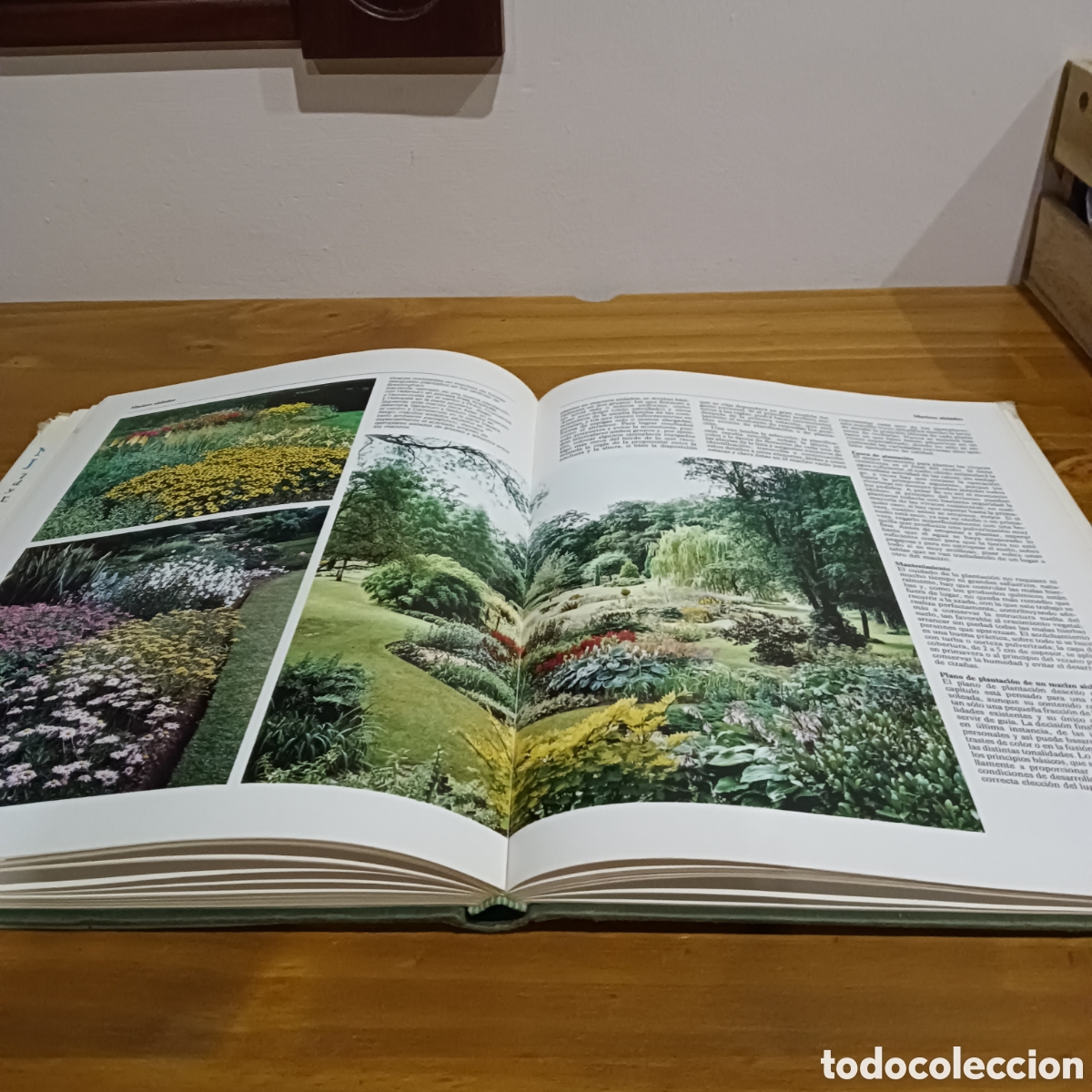 Libros: Nuestro jard&iacute;n. David Stevens ed. - Foto 5