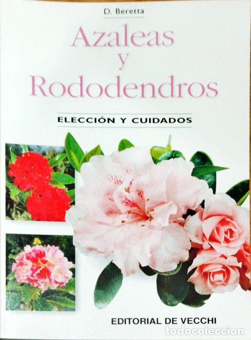 Libros: Azaleas y rododendros &ndash; Elecci&oacute;n y cuidados - BERETTA, D - Foto 1