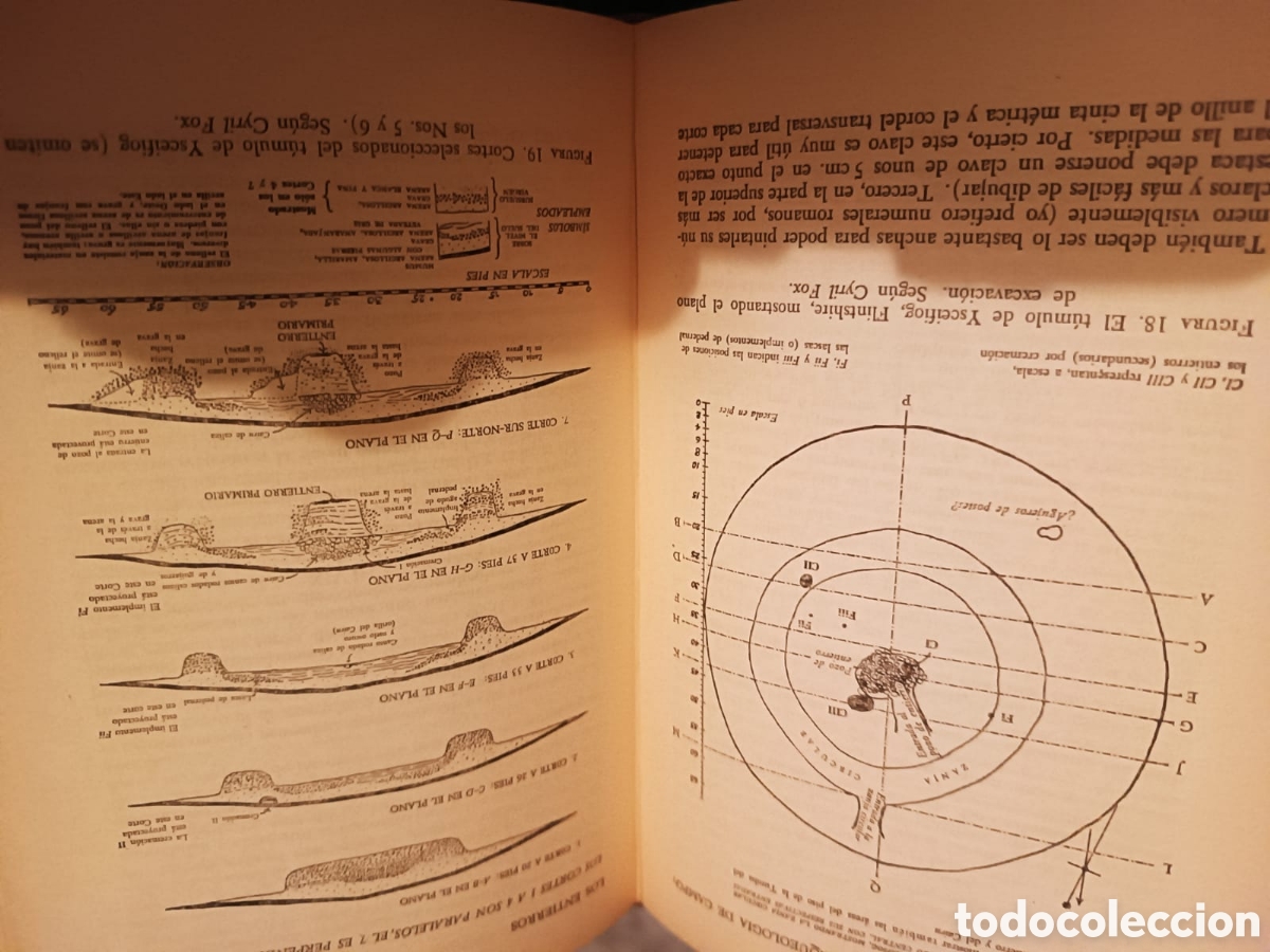 Libros: Arqueolog&iacute;a de Campo, Wheeler - Foto 5