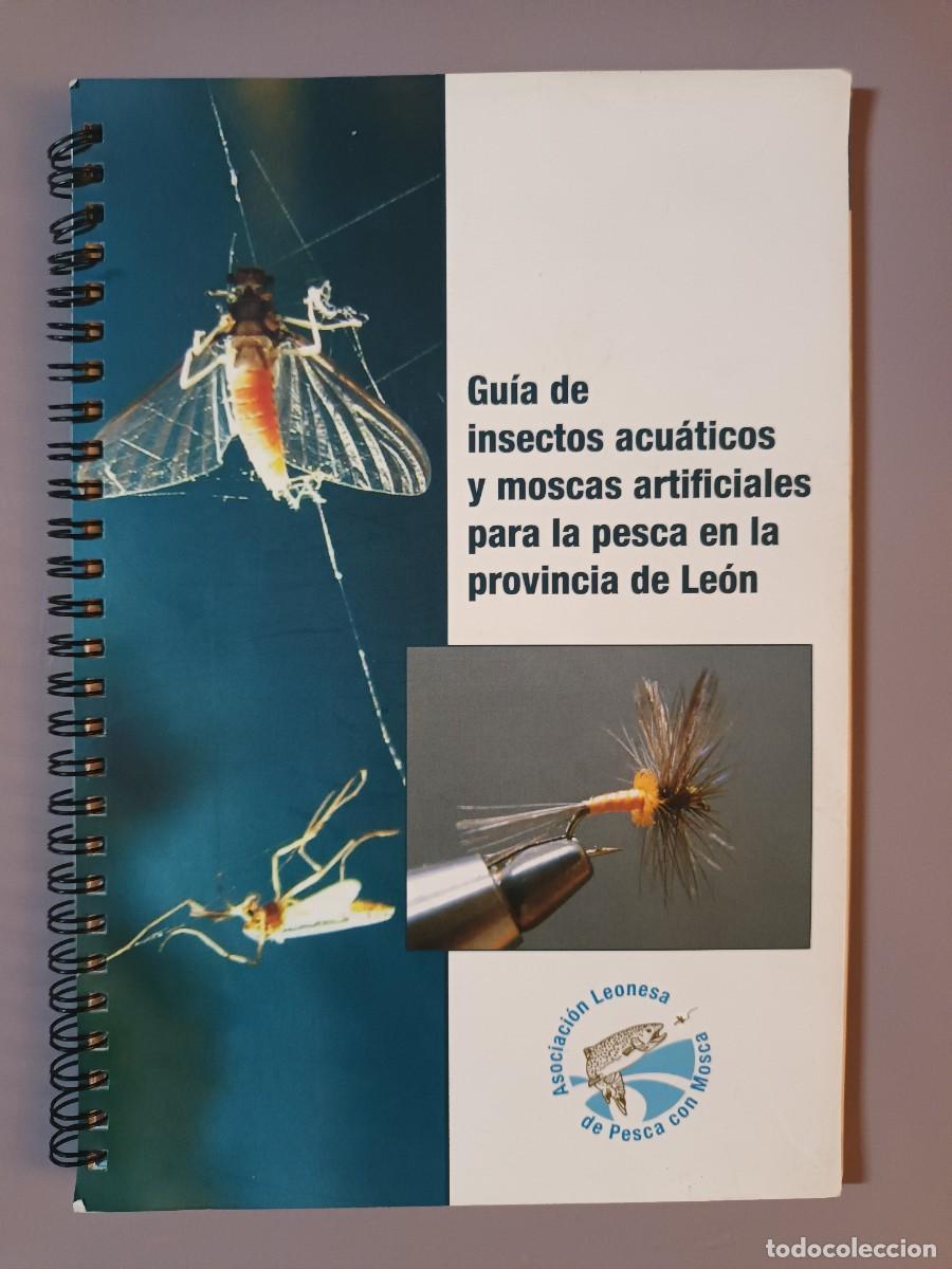 Livres: GU&Iacute;A DE INSECTOS ACU&Aacute;TICOS Y MOSCAS ARTIFICIALES PARA LA PESCA EN LA PROVINCIA DE LE&Oacute;N