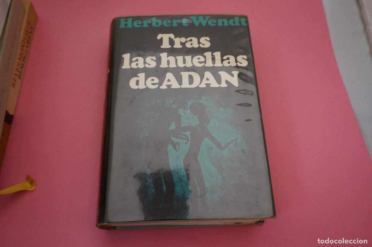 Libros: AR6B/ TRAS LAS HUELLAS DE ADAN - HERBERT WENDT / EDITORIAL NOGUER - Foto 1