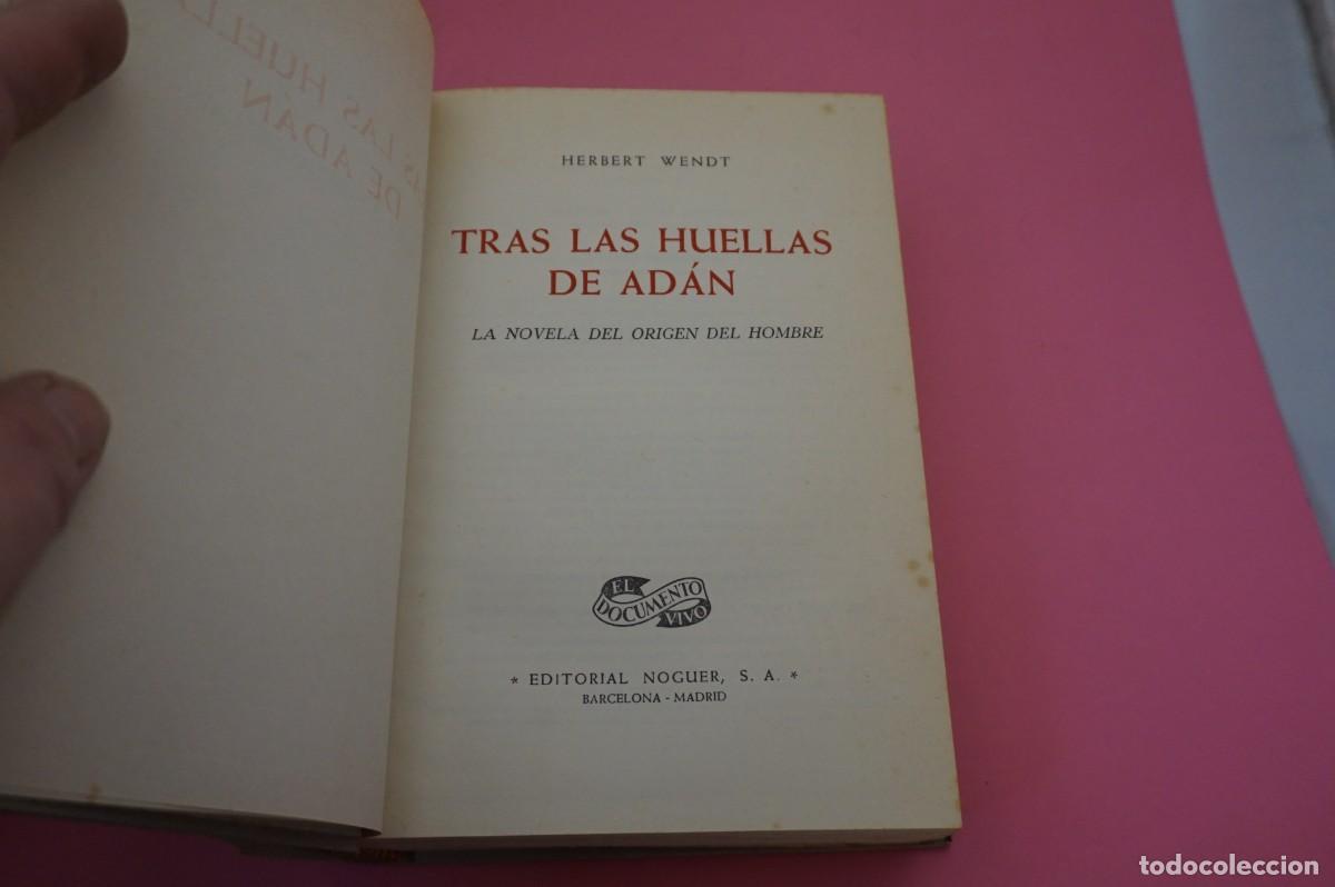Libros: AR6B/ TRAS LAS HUELLAS DE ADAN - HERBERT WENDT / EDITORIAL NOGUER - Foto 2