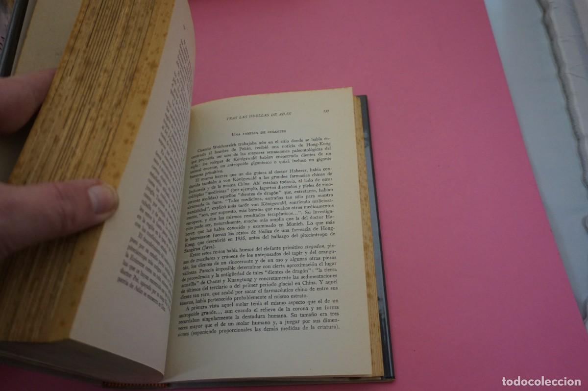 Libros: AR6B/ TRAS LAS HUELLAS DE ADAN - HERBERT WENDT / EDITORIAL NOGUER - Foto 3