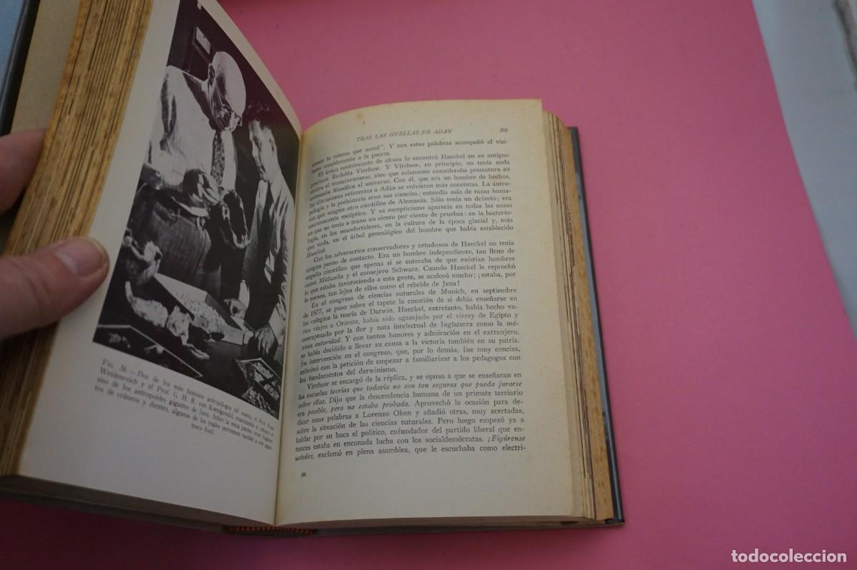 Libros: AR6B/ TRAS LAS HUELLAS DE ADAN - HERBERT WENDT / EDITORIAL NOGUER - Foto 4