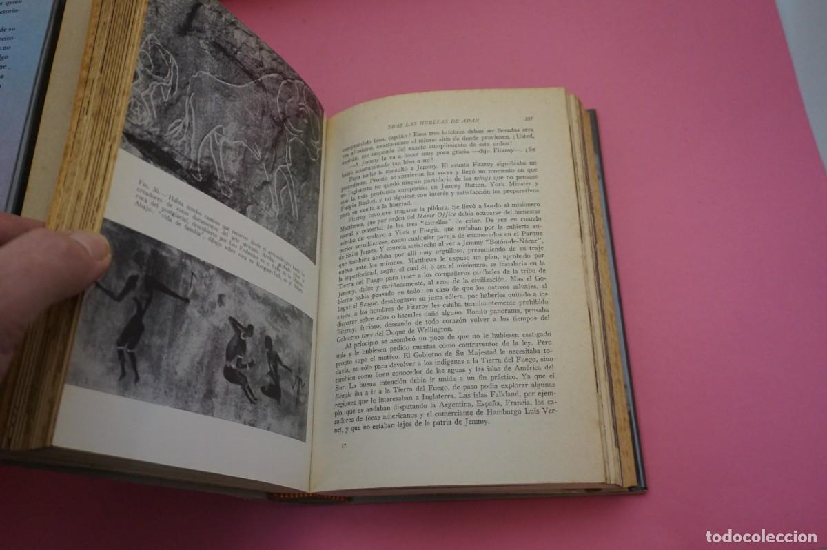 Libros: AR6B/ TRAS LAS HUELLAS DE ADAN - HERBERT WENDT / EDITORIAL NOGUER - Foto 5