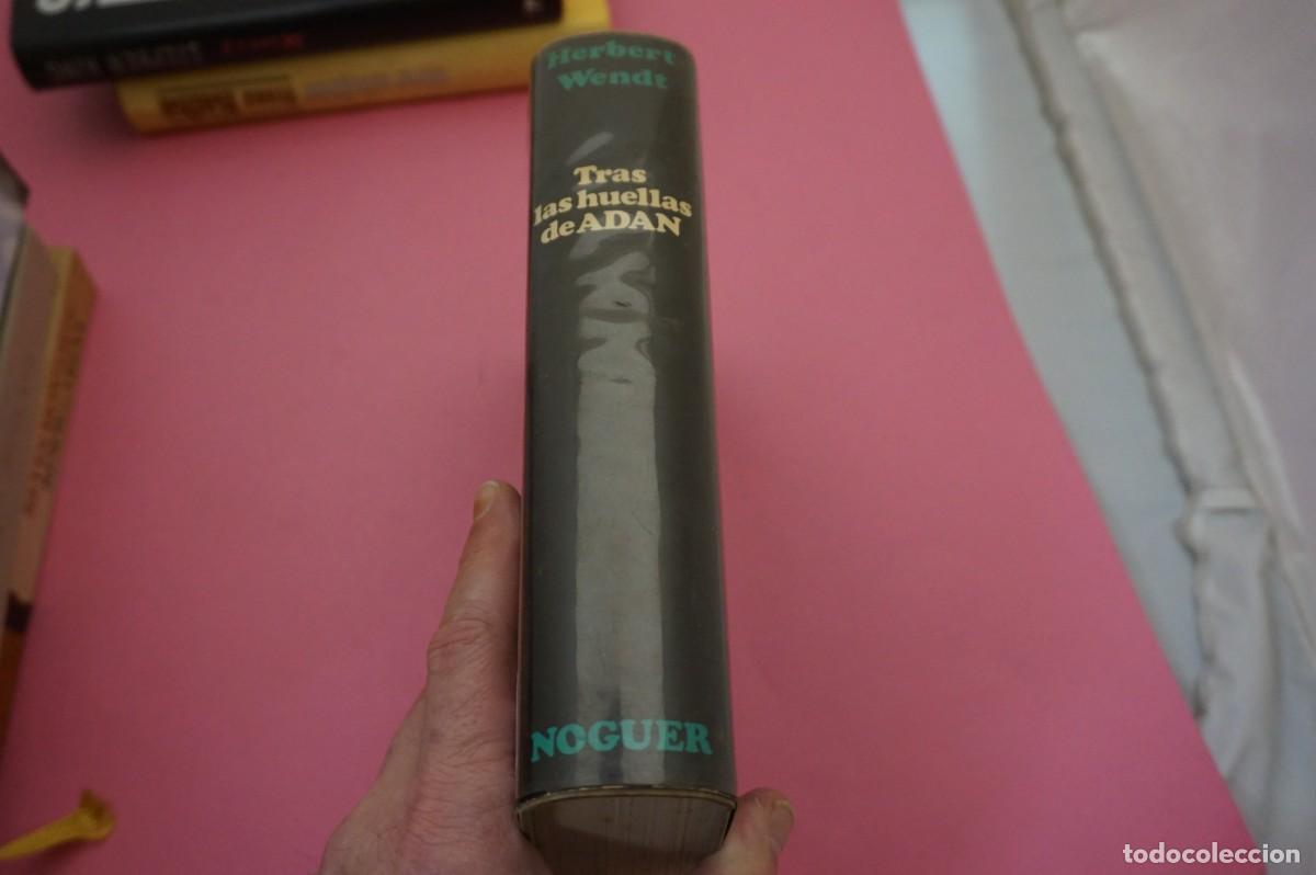 Libros: AR6B/ TRAS LAS HUELLAS DE ADAN - HERBERT WENDT / EDITORIAL NOGUER - Foto 7