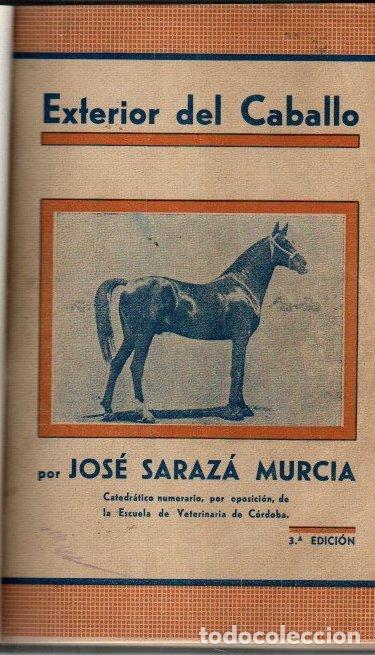 Libros: Exterior del caballo - Saraz&aacute; Murcia, Jos&eacute; - Foto 1