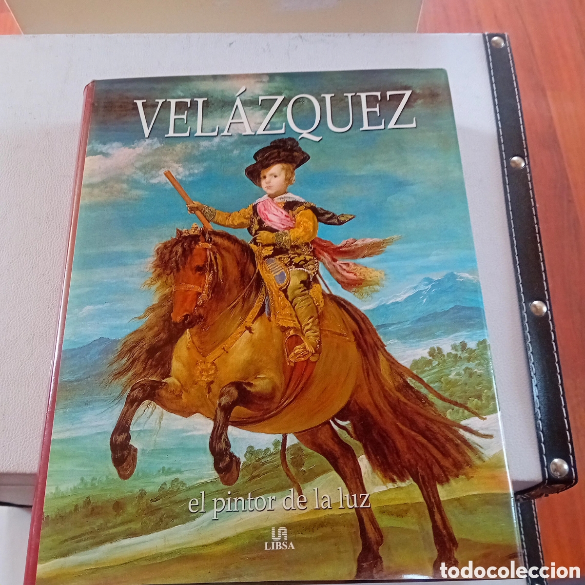 Libros: Velazquez,el pintor de la luz editorisl libsa