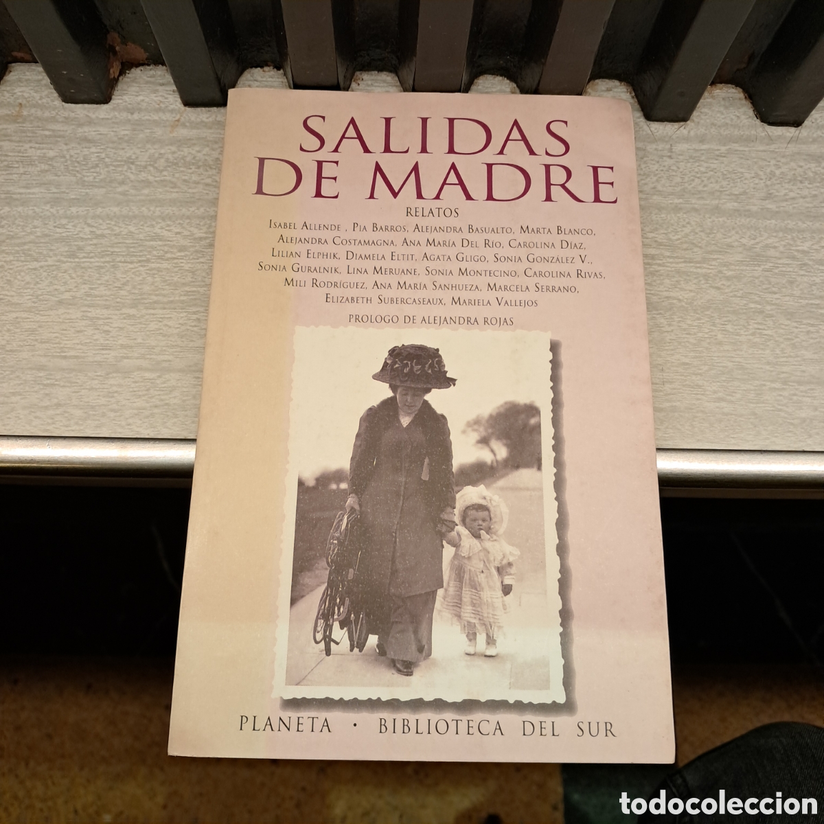 Libros: Salidas de madre, Planeta, Biblioteca del sur - Foto 1