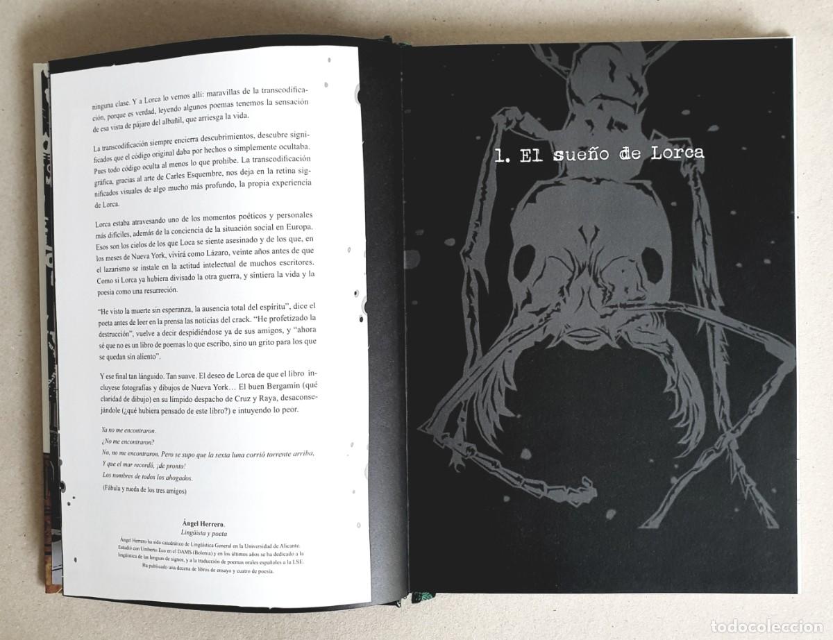 Libros: Lorca. Un poeta en Nueva York. Carles Esquembre. Evolution comics. 2016 - Foto 10