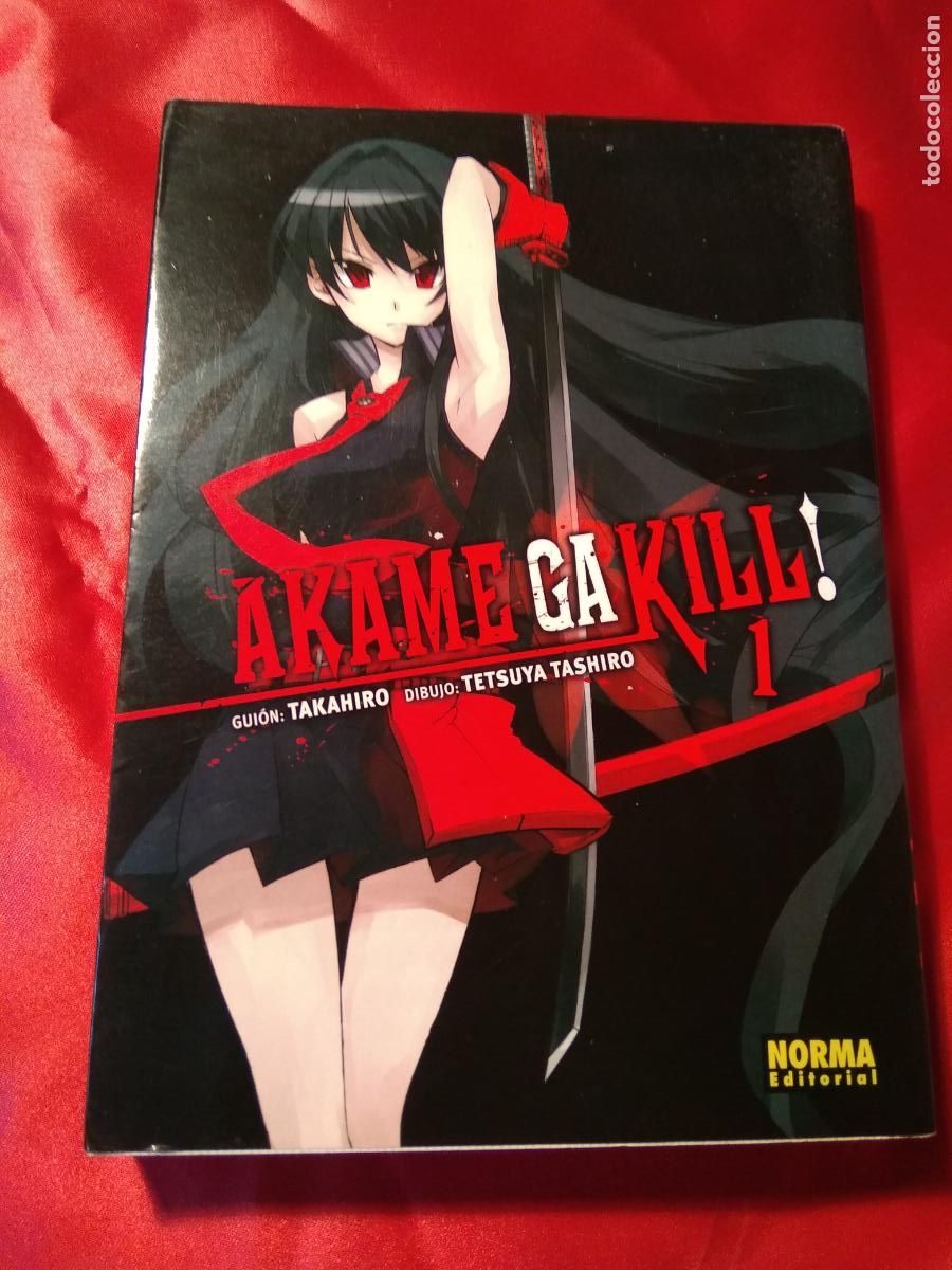 Libros: Comic Manga Akame Ga Kill! L.24134-199 - Foto 1