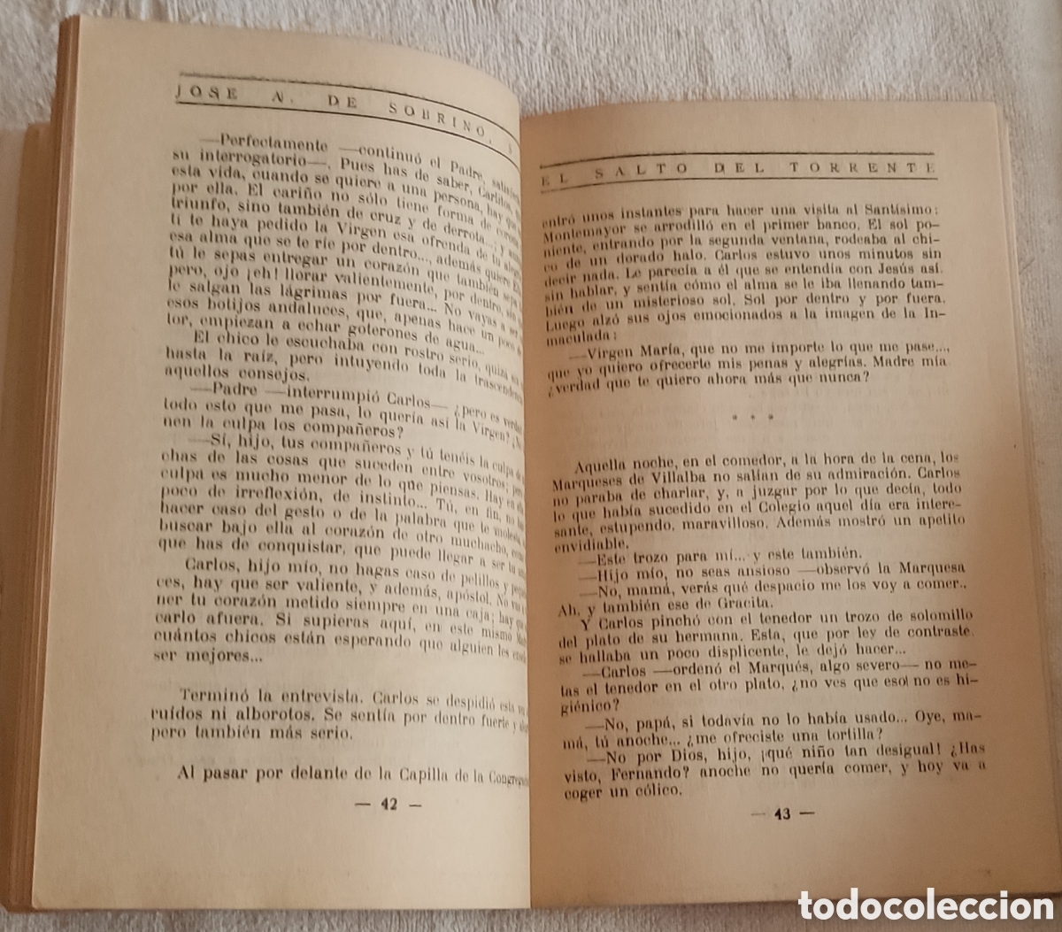 Libros: El salto del Torrente - Foto 4